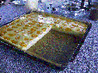 K�sekuchen auf dem Backblech